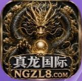 真龙国际
